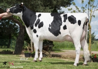 IZONZO - Prim'Holstein